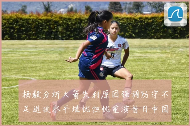 杨毅分析火箭失利原因强调防守不足进攻水平堪忧担忧重演昔日中国男篮困境