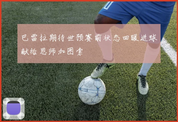巴雷拉期待世预赛前状态回暖进球献给恩师加图索