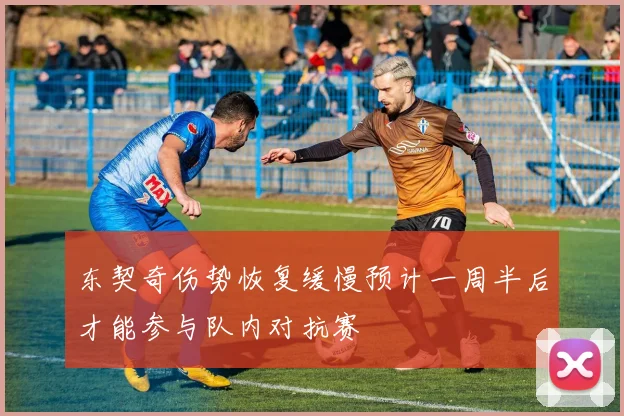东契奇伤势恢复缓慢预计一周半后才能参与队内对抗赛