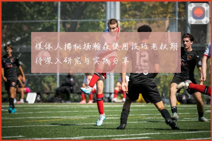 媒体人揭秘杨瀚森使用技巧老叔期待深入研究与实践分享